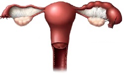 Pelvic Inflammatory Disease, PID